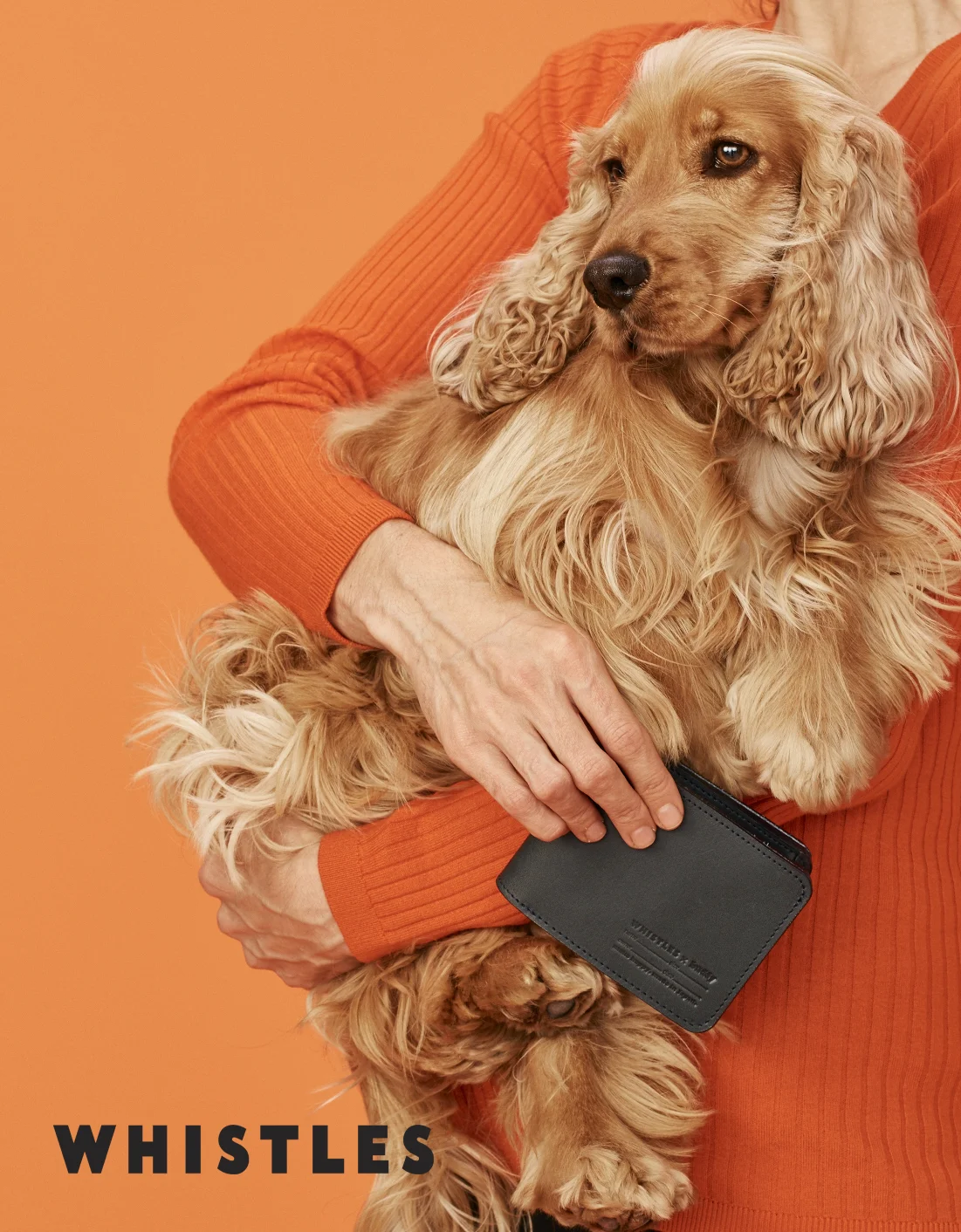 whistles orange 1.jpg
