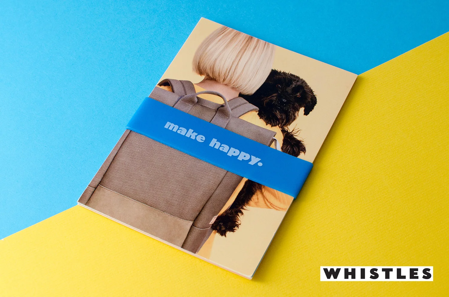 Whistles x Buddy Collaboration