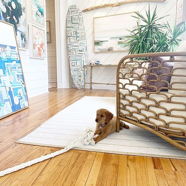 Studio puppy visits are the best!! 🐕🎨 #puppylove #happyvibes  #beachpeoplestudio @bre30bozz