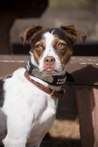 Shea-10172010-199x300.jpg