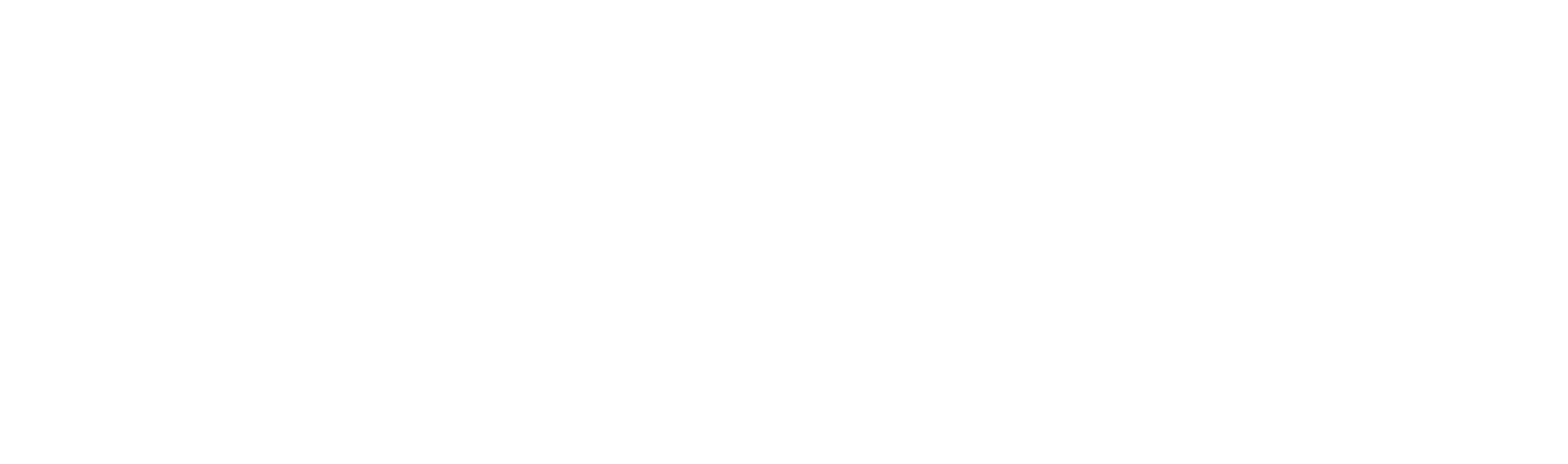 MerCorp Ltd
