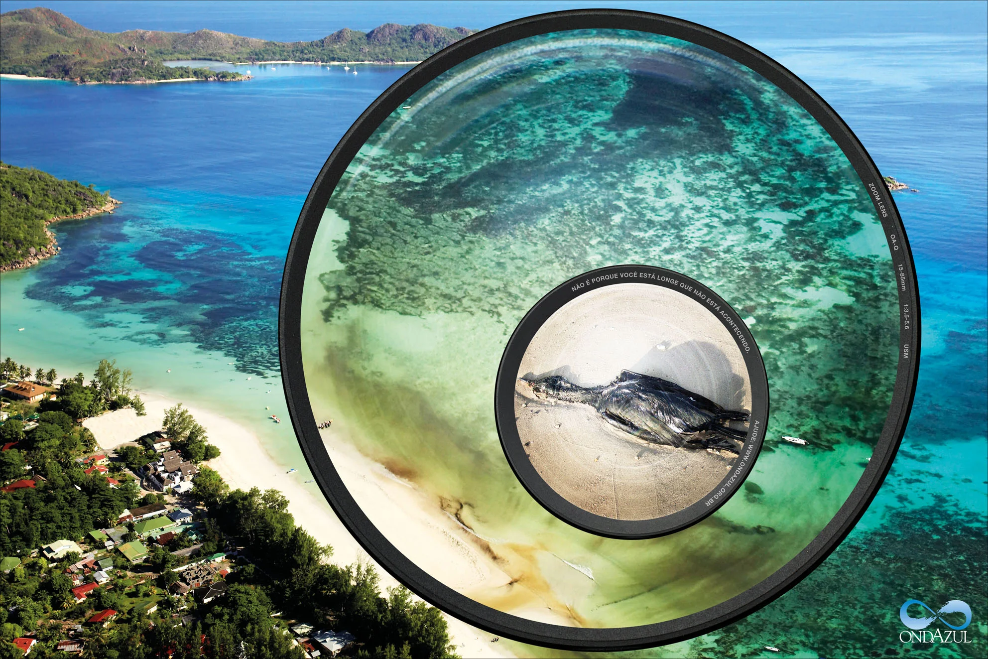 OndAzul - Pássaro.jpg