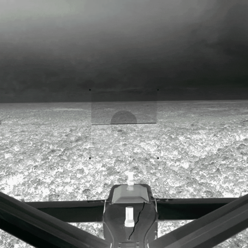 Untitled design (2).gif