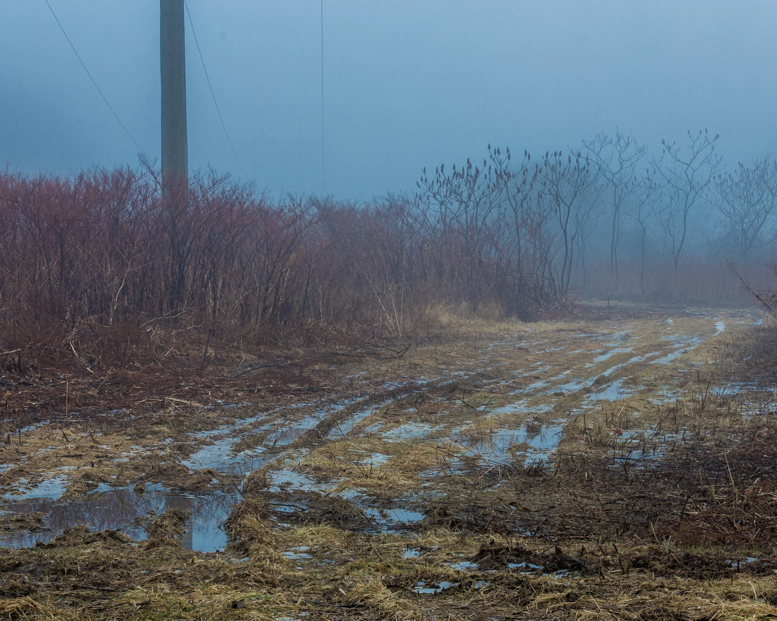 winterFog-8213.jpg