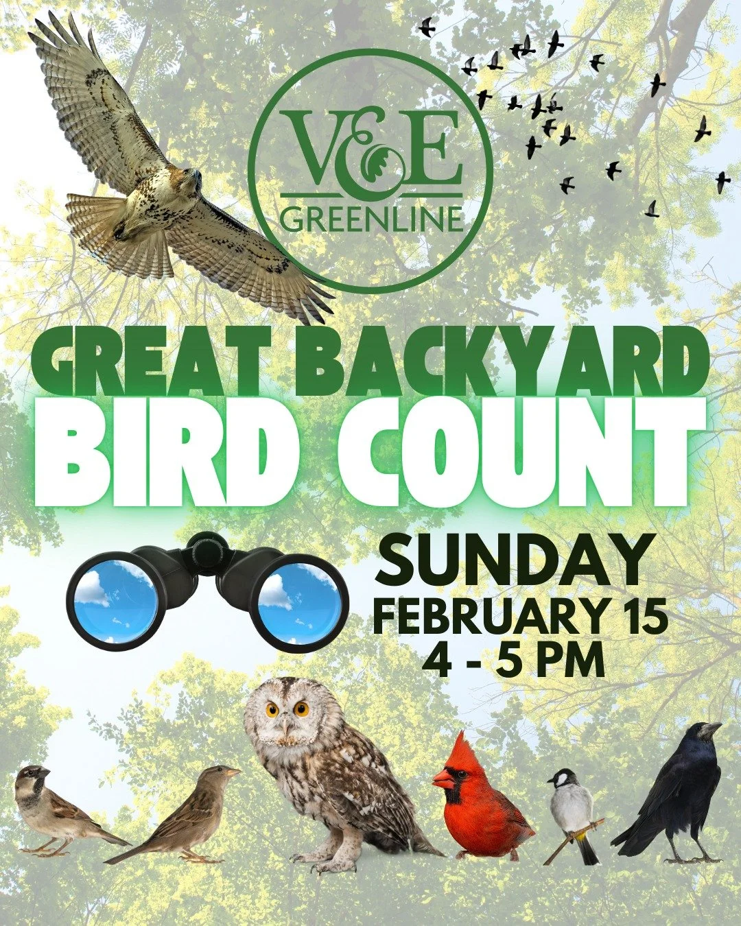 Bird lovers of Memphis! 🐦✨ Join the V&amp;E Greenline for the Great Backyard Bird Count &amp; be part of a global citizen science event&mdash;right in your own backyard! Check our link in the bio for more information 🦅

#exploreMemphis
#GBBC2026
#B