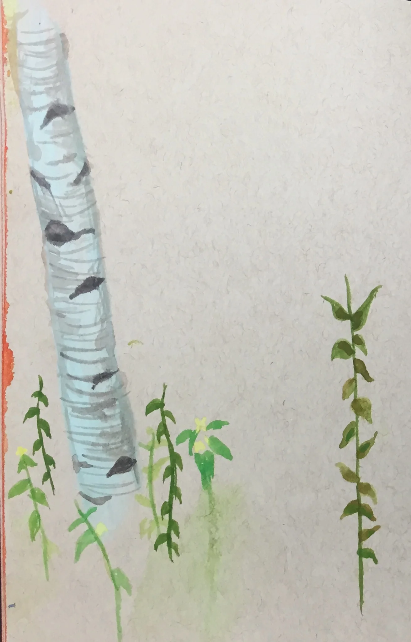 Watercolor