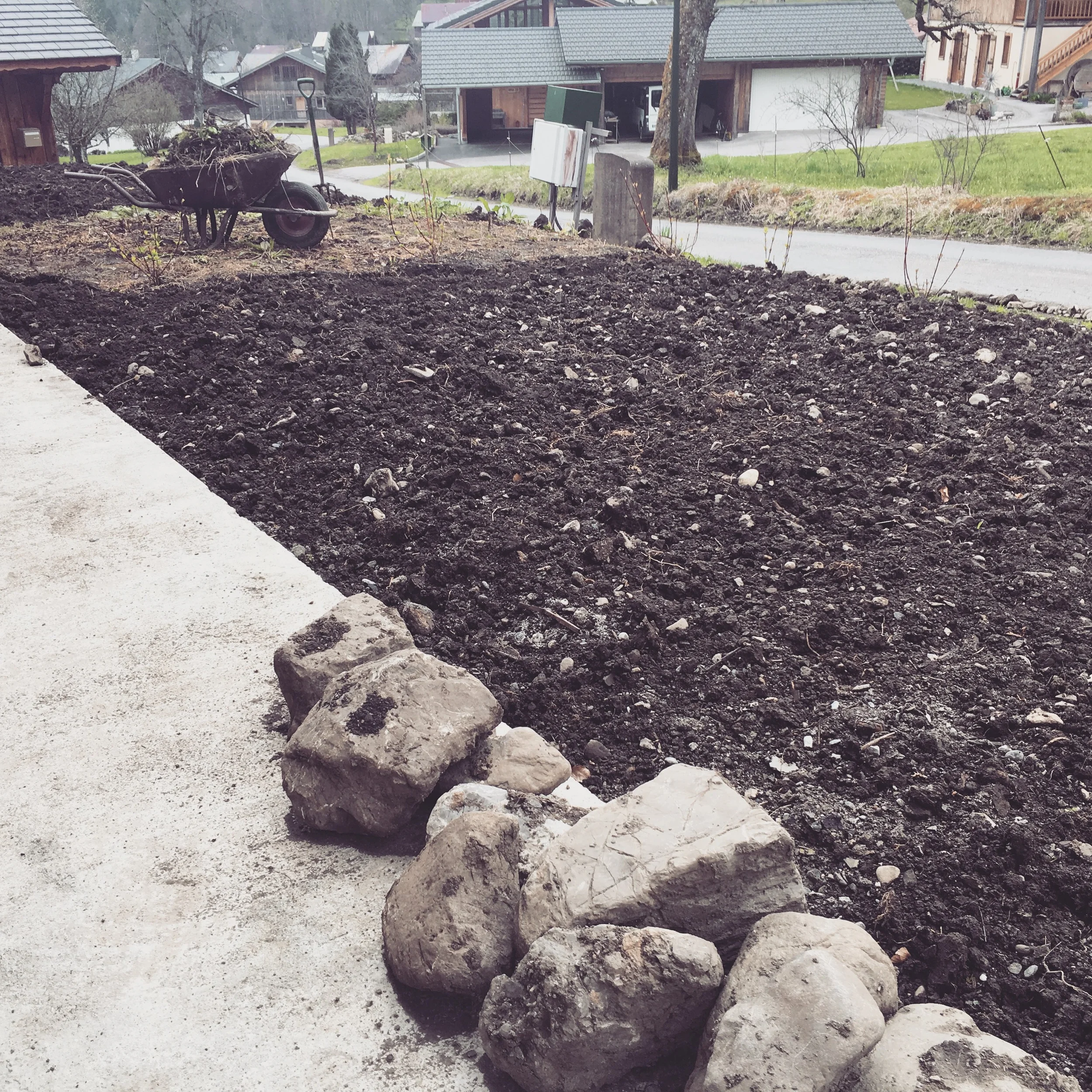 The lawn (eventually)