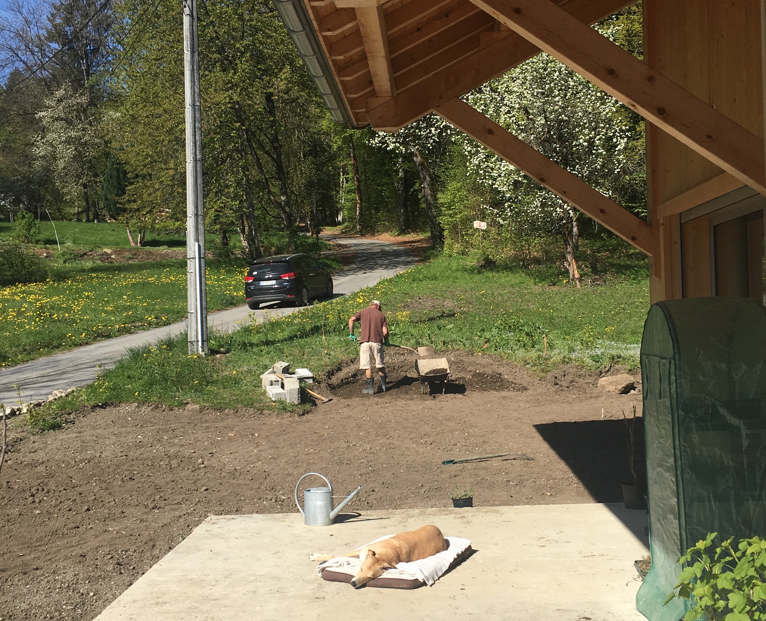 The Sidster digging. Denis the dog snoozing.