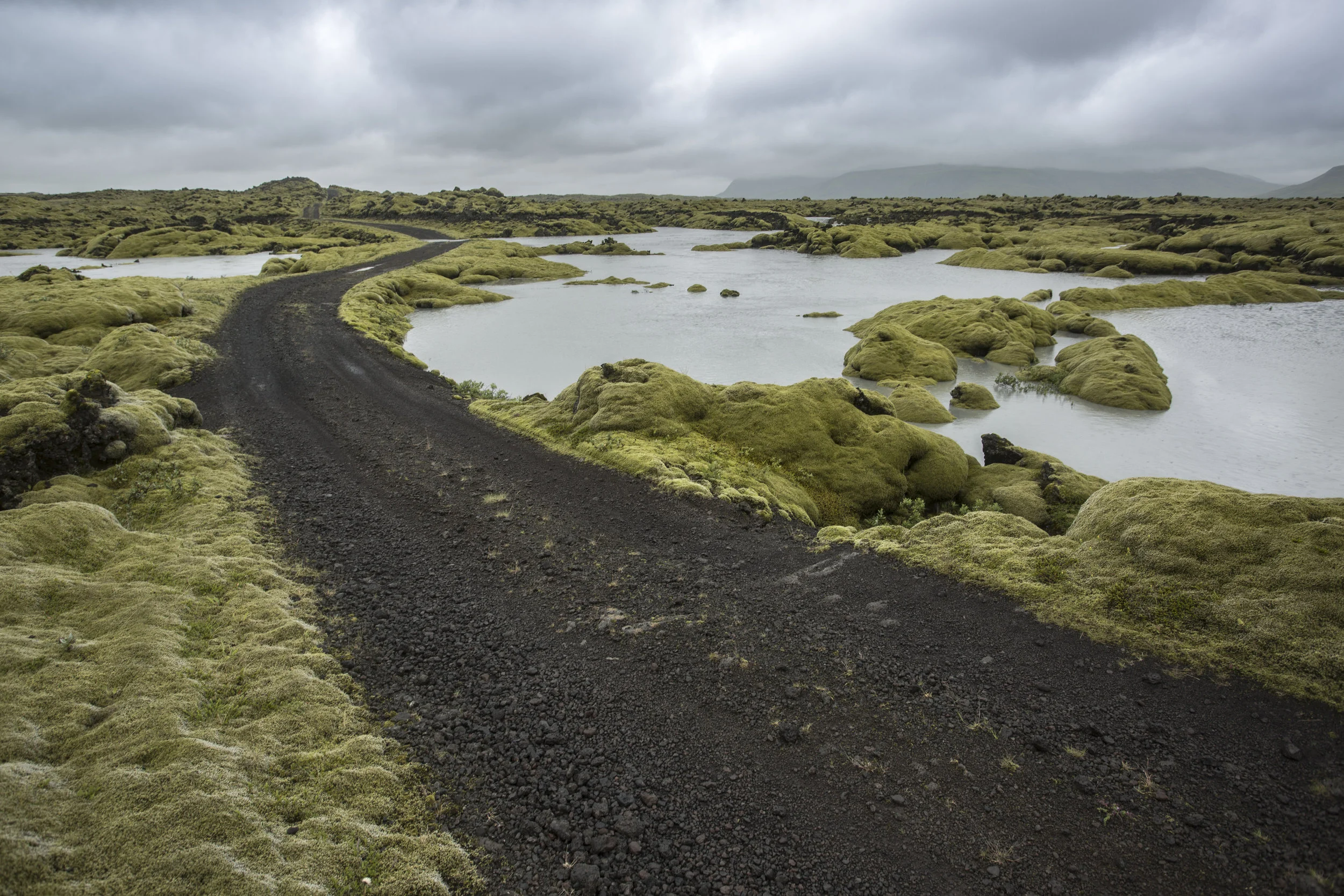 Moss Mile.jpg