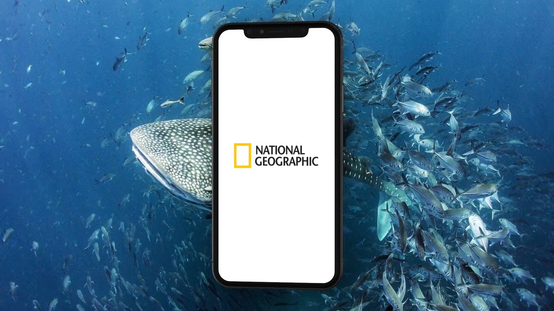 NatGeo_Still03.png