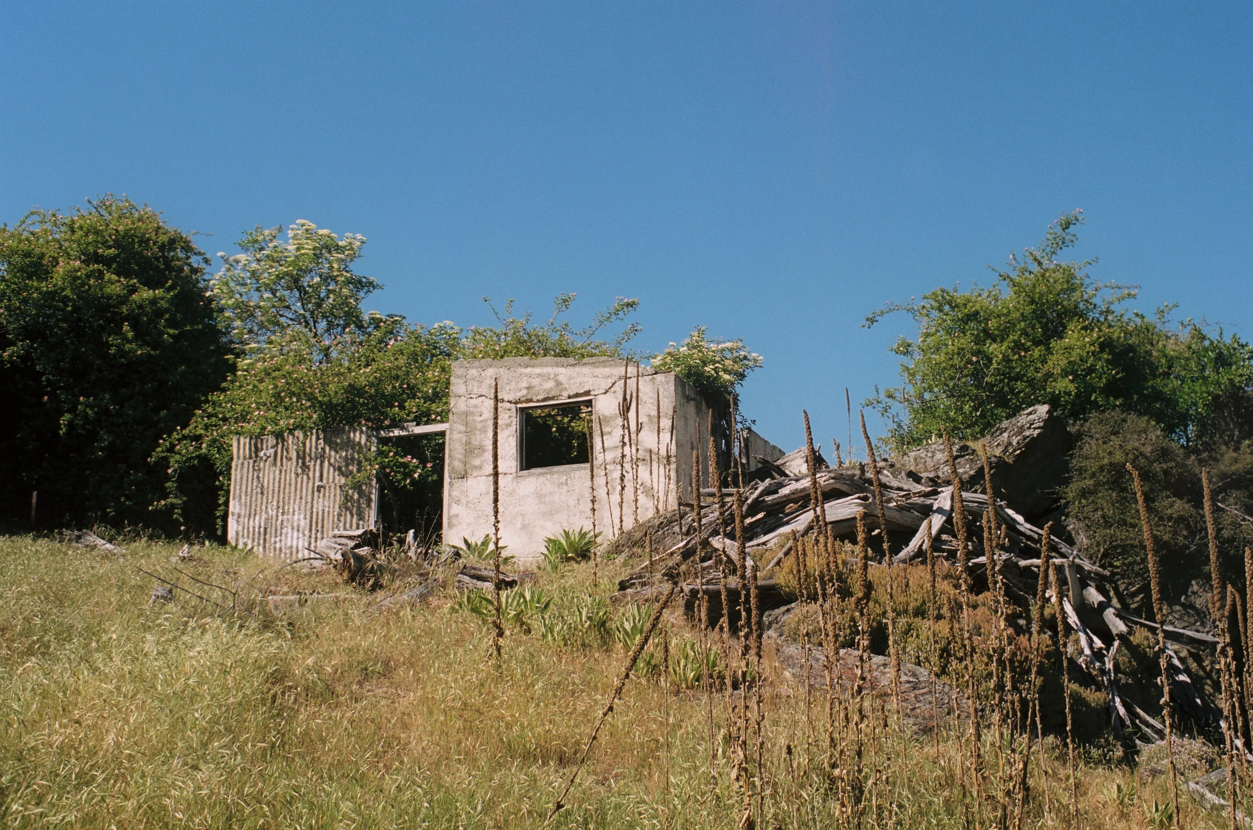 000046 copy 2.jpg