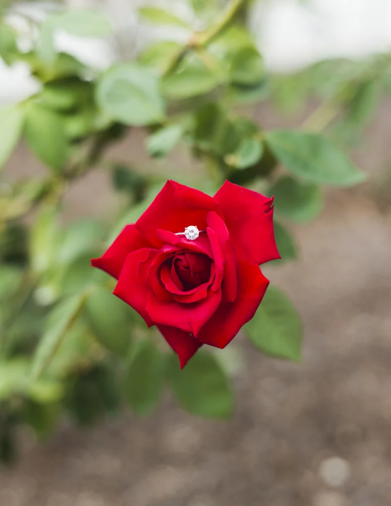 Gloribel & Wayne -26.jpg