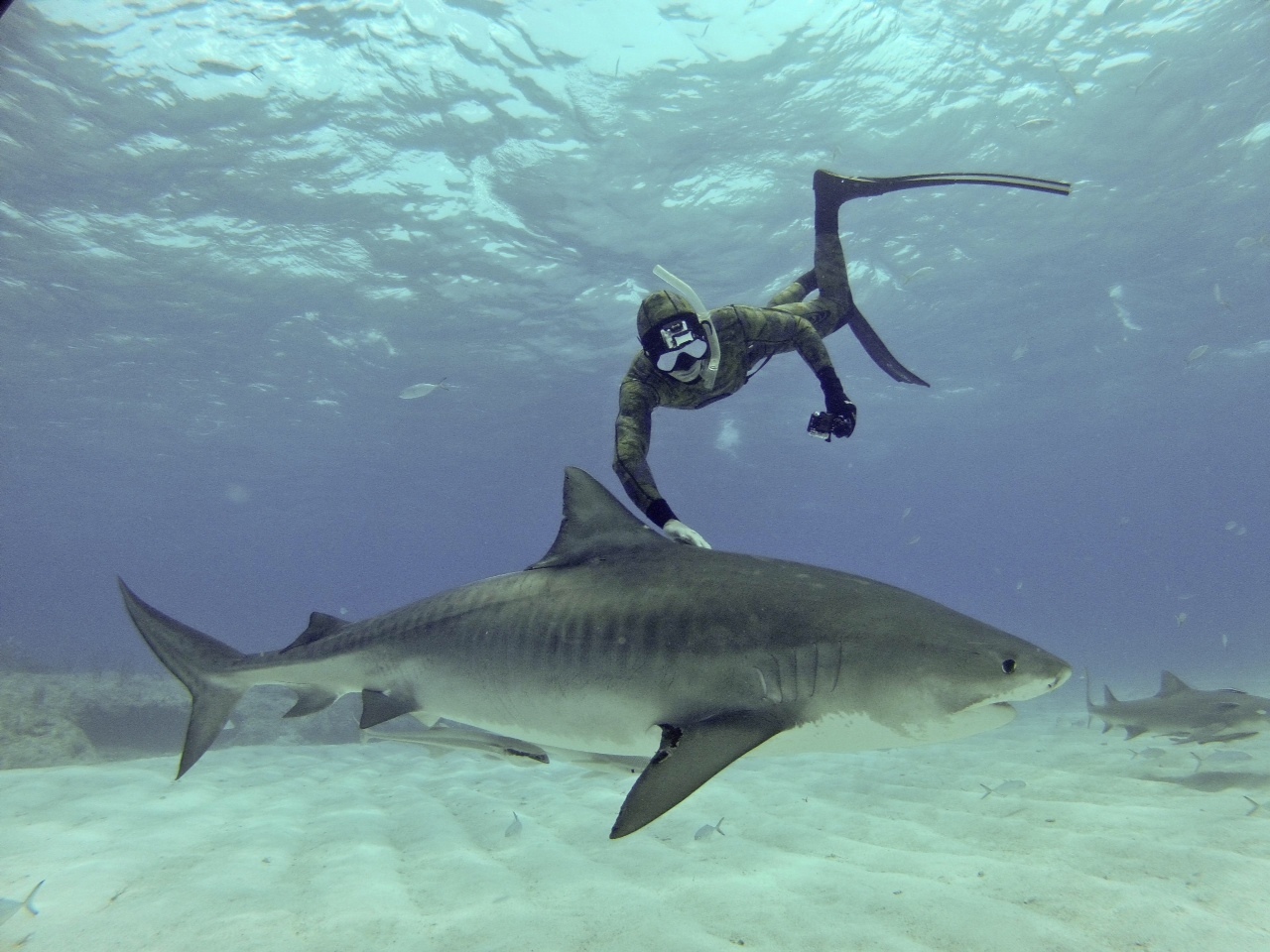 GAME-CHANGING EXPERIENTIAL TRAVEL