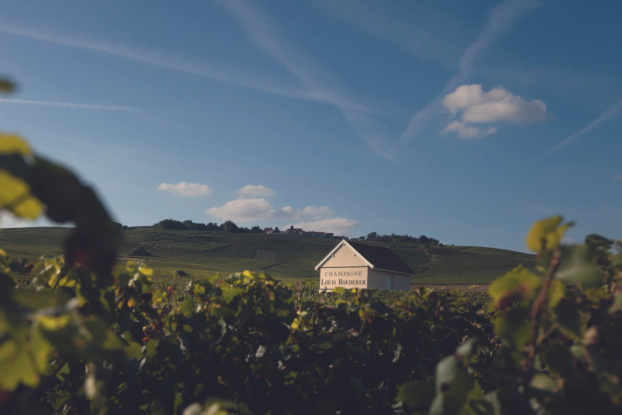 VIGNES 03 MAISON_HighRes.jpg