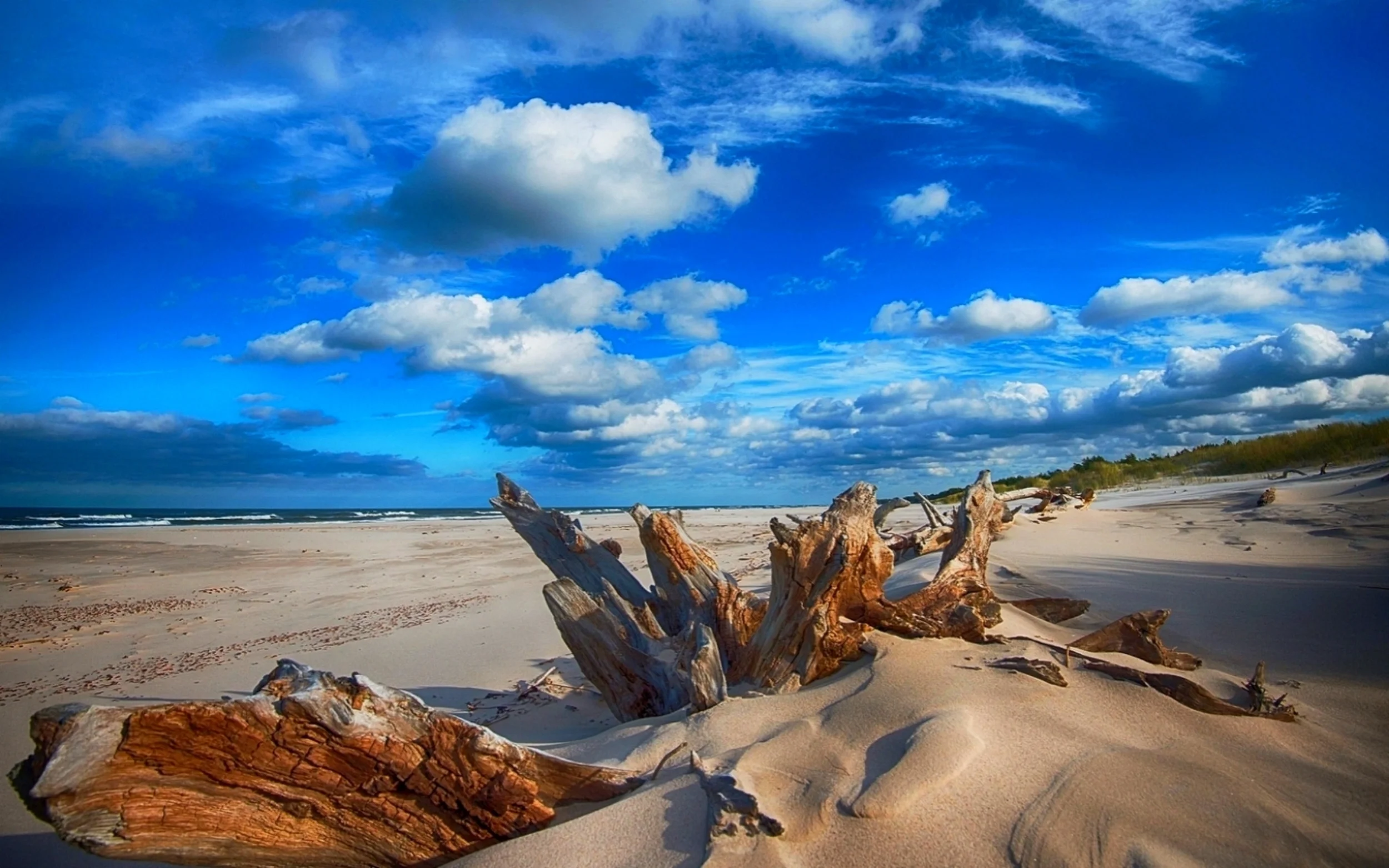  Wild, sandy beaches all along the Northern Polish coast —&nbsp;the "Polish Riviera" 