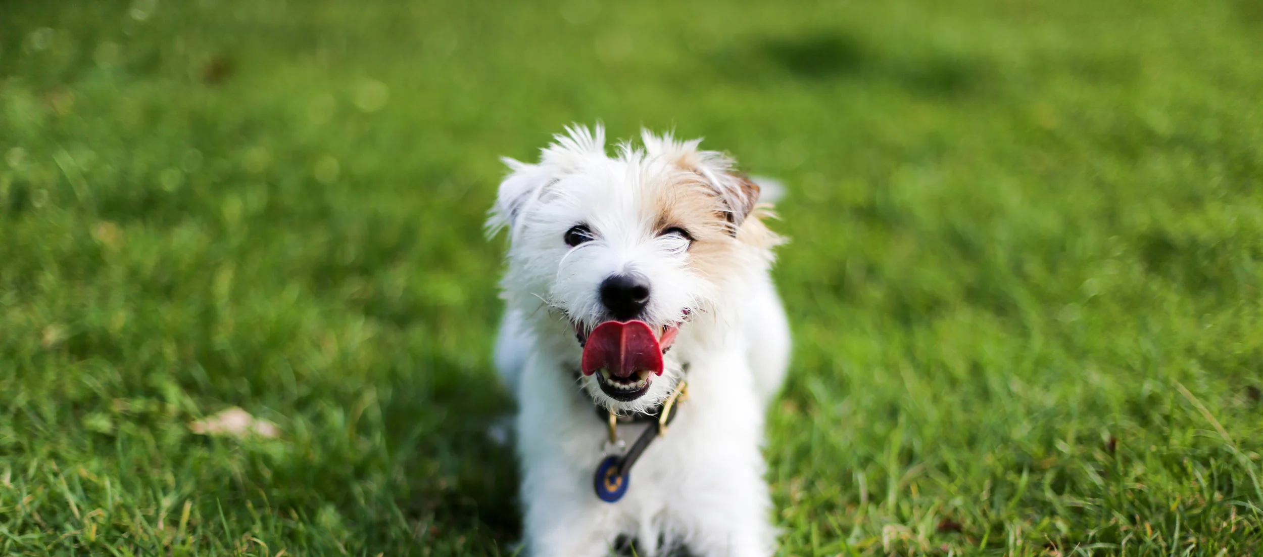 Leave us some words.