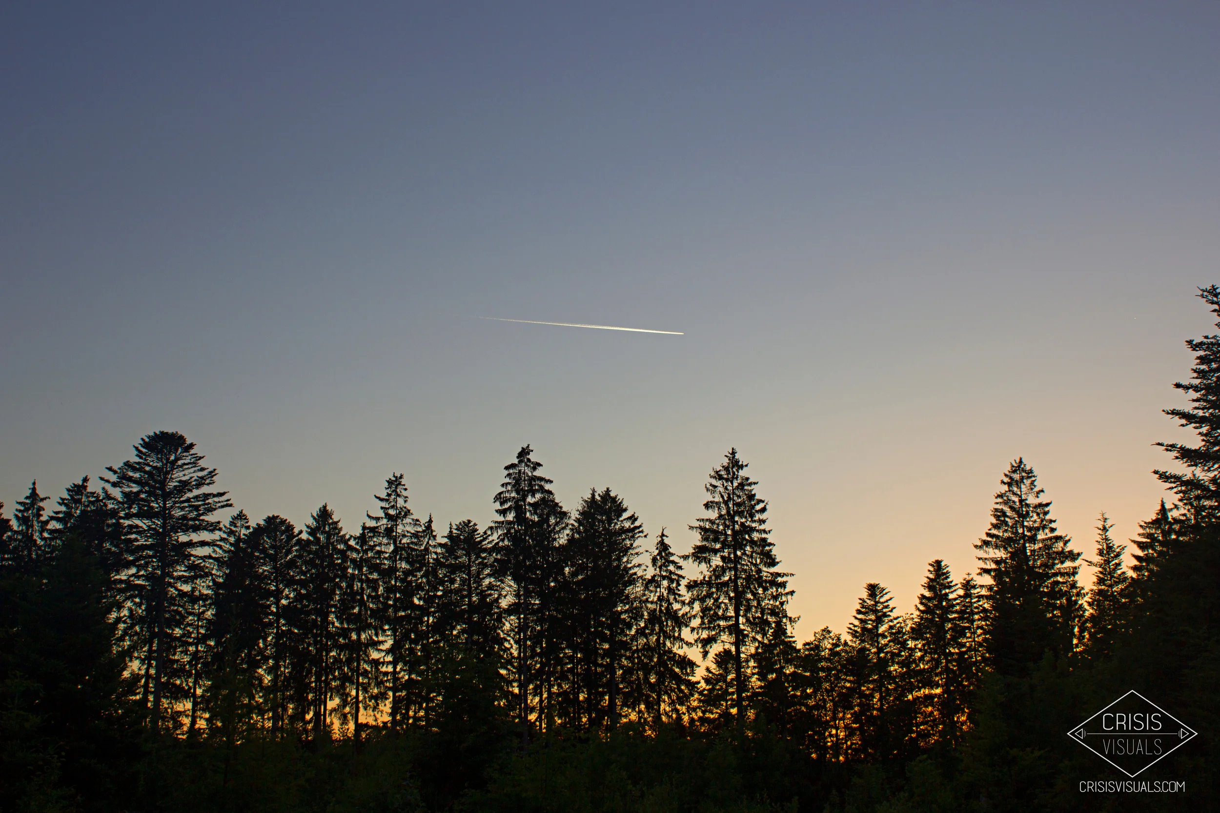 IMG_9730.jpg