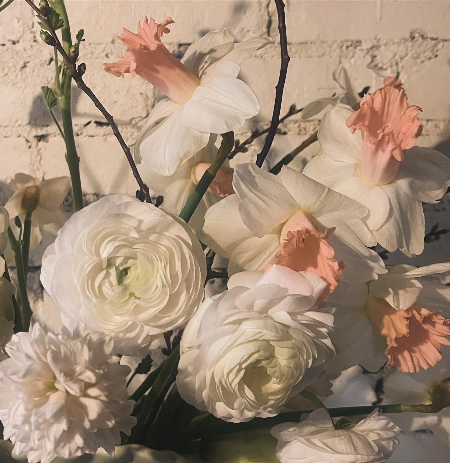 I always love these daffodils with their frilly pink trumpets 💕

#springflowers #spring #seasonalflowers #ranunculus #hyacinths #springarrangement