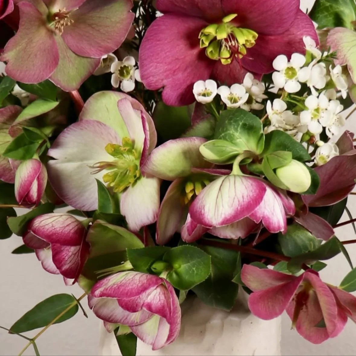 Petite Oregon-Grown Hellebore Bouquet