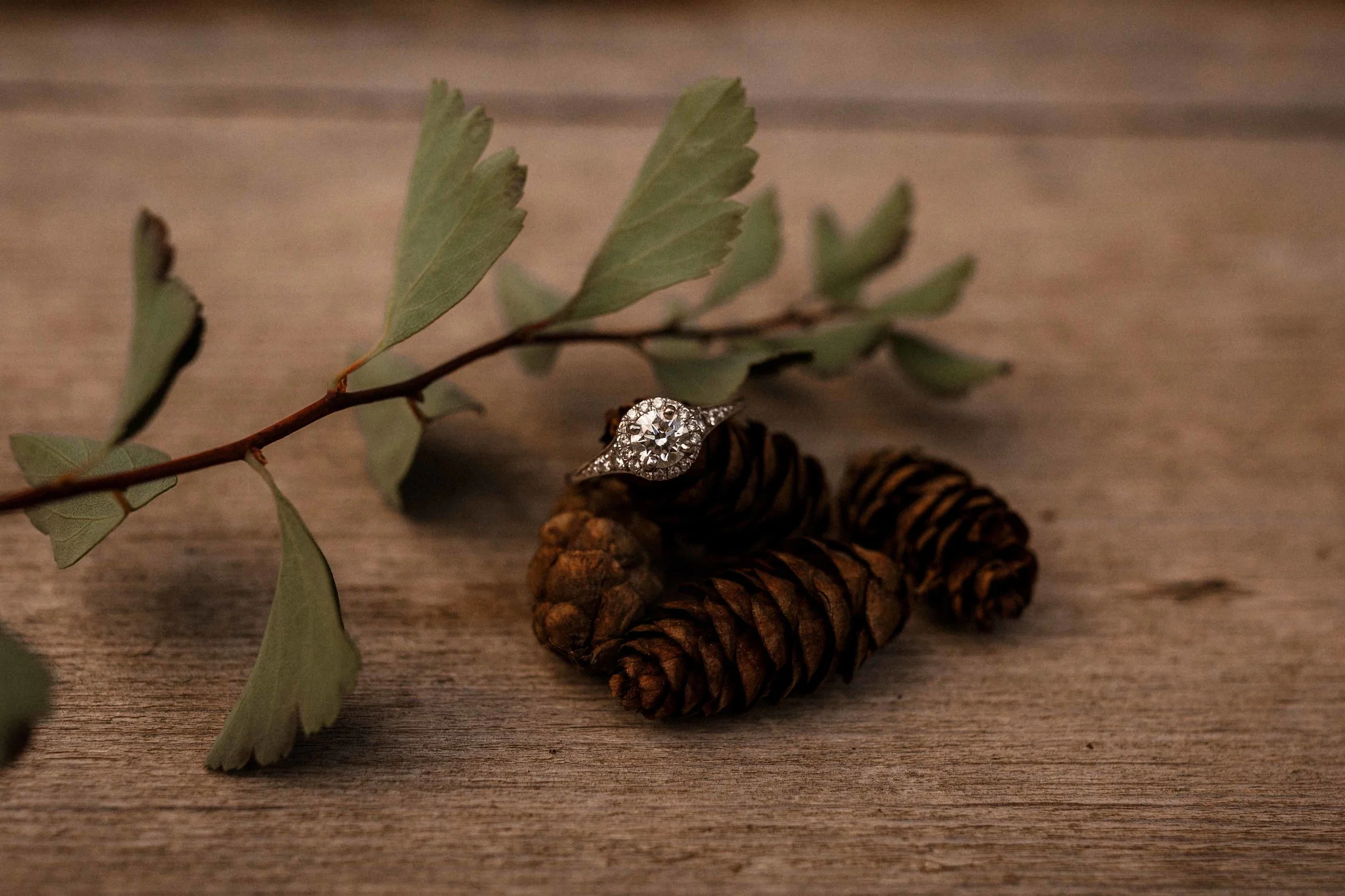 downtown-ellensburg-engagement-14.jpg