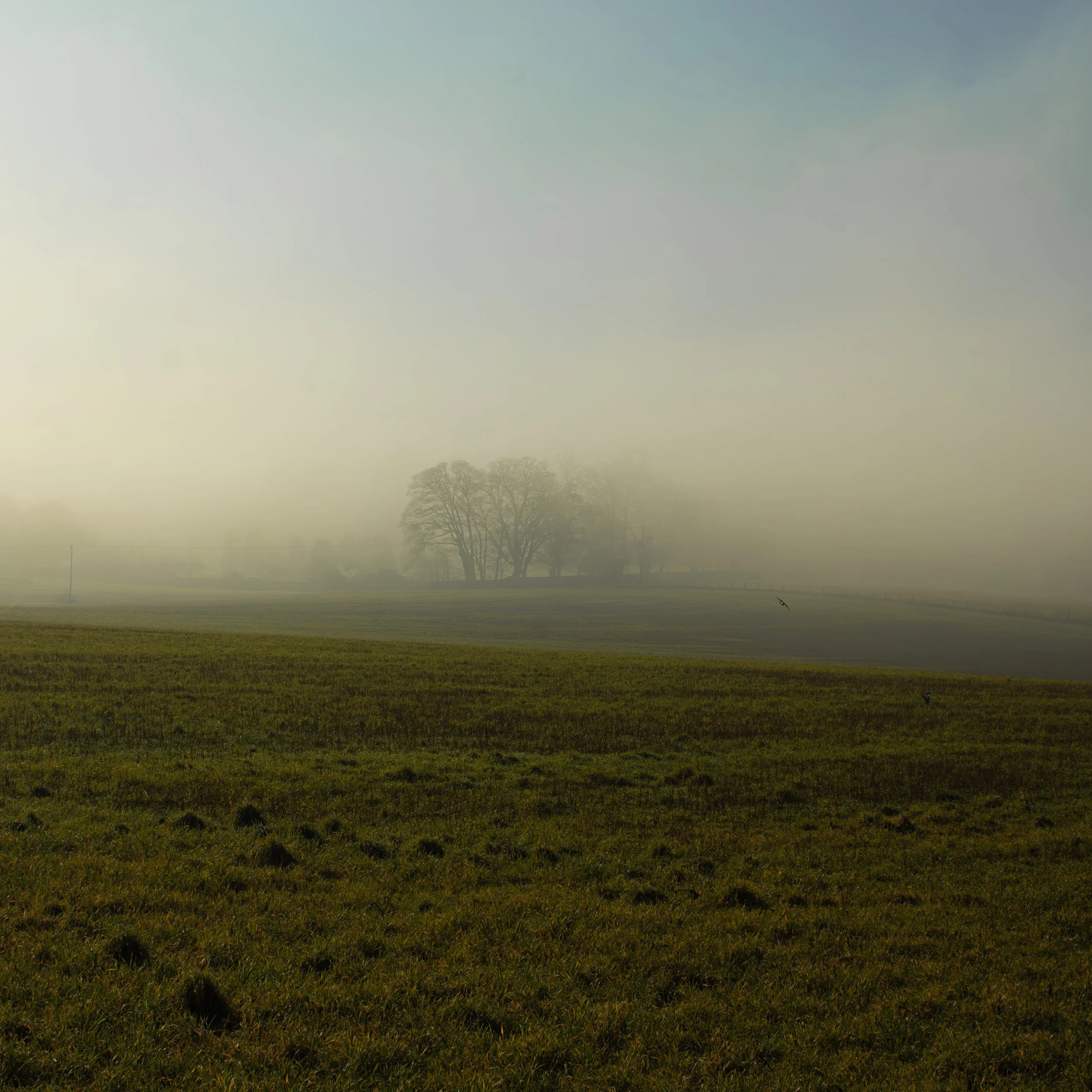 Shoreham sunrise 2.0.jpg