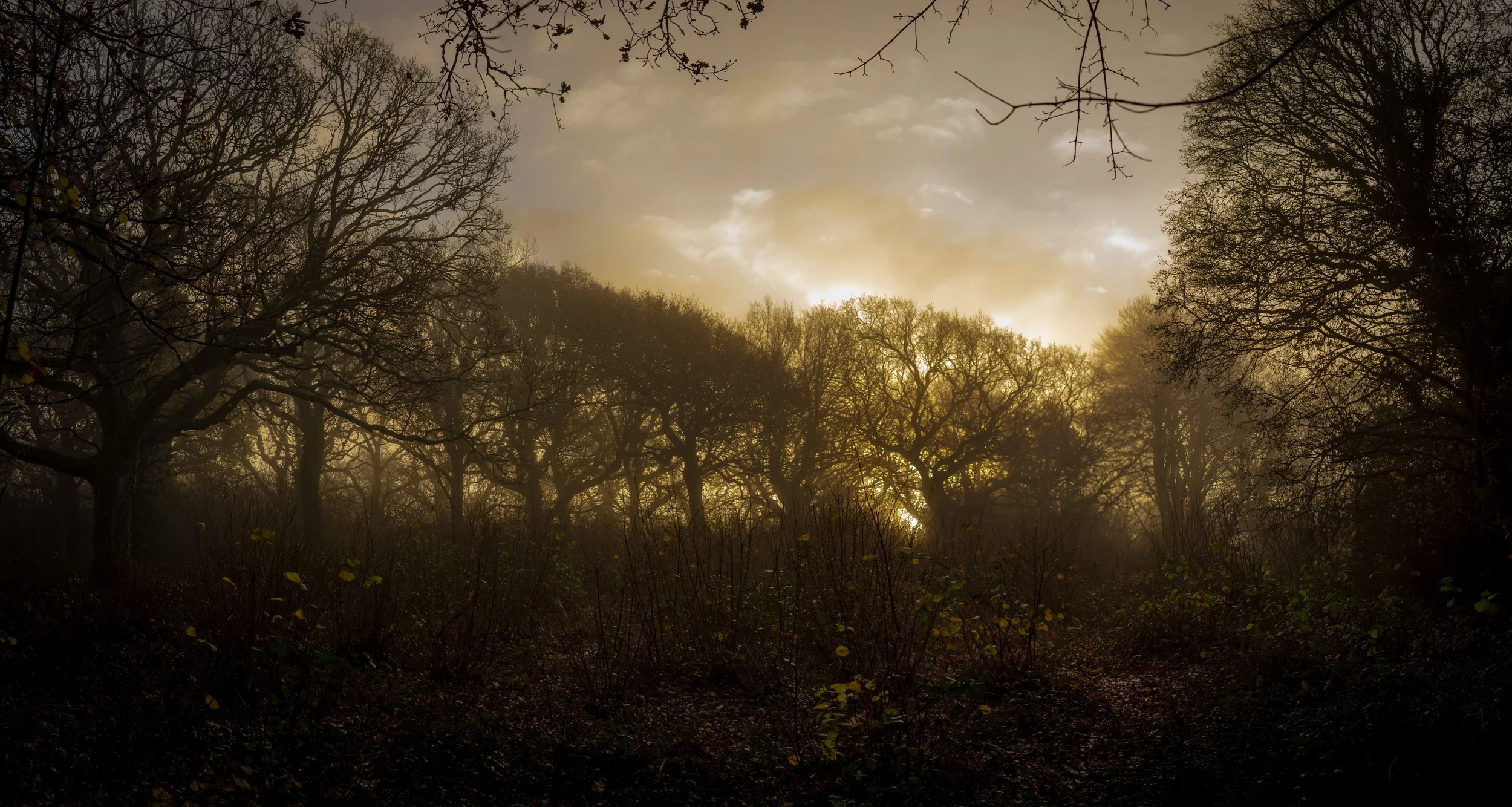 DSC_8291-Pano.jpg