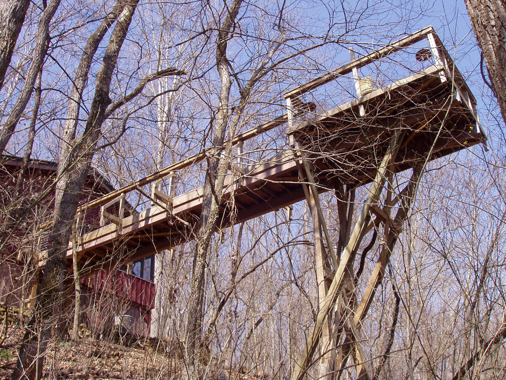 from below 1.jpg