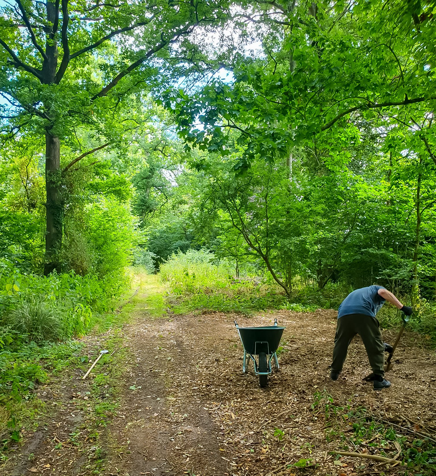 Working outdoors 039 28-08-2025.jpg