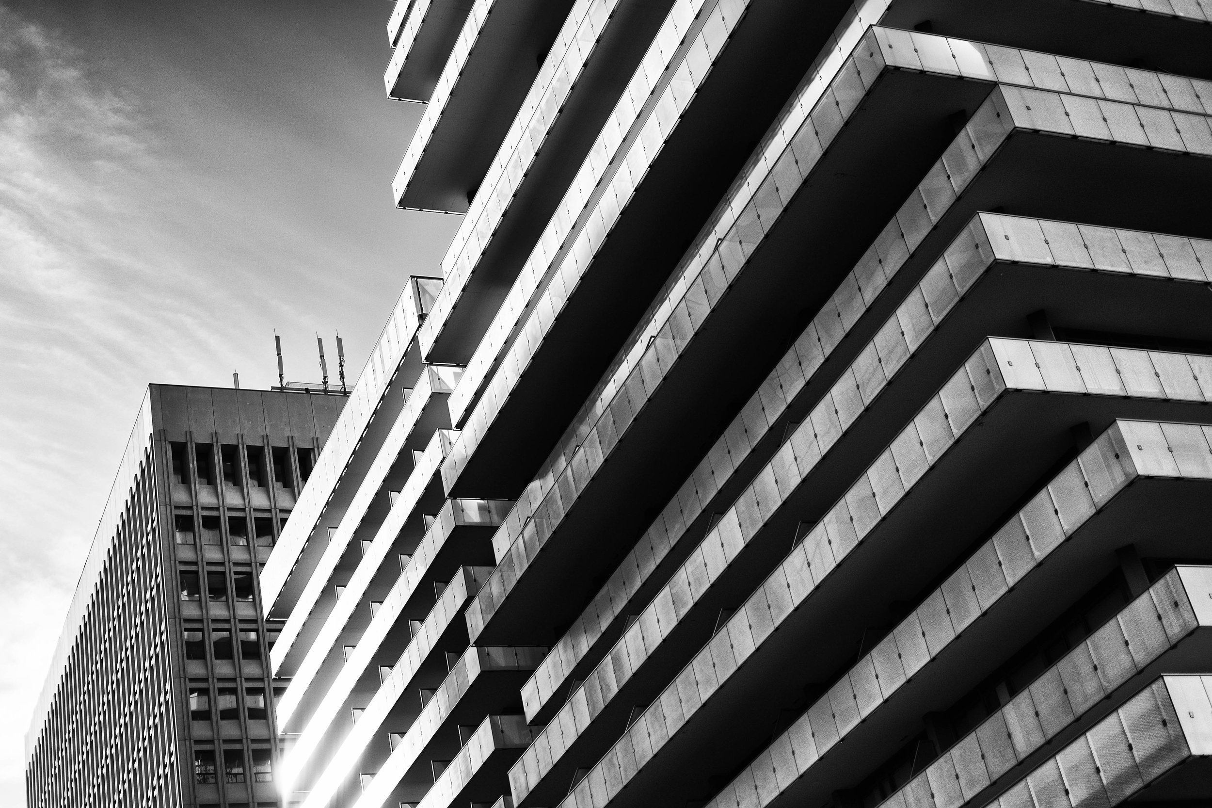 _DSF7532-Edit.jpg