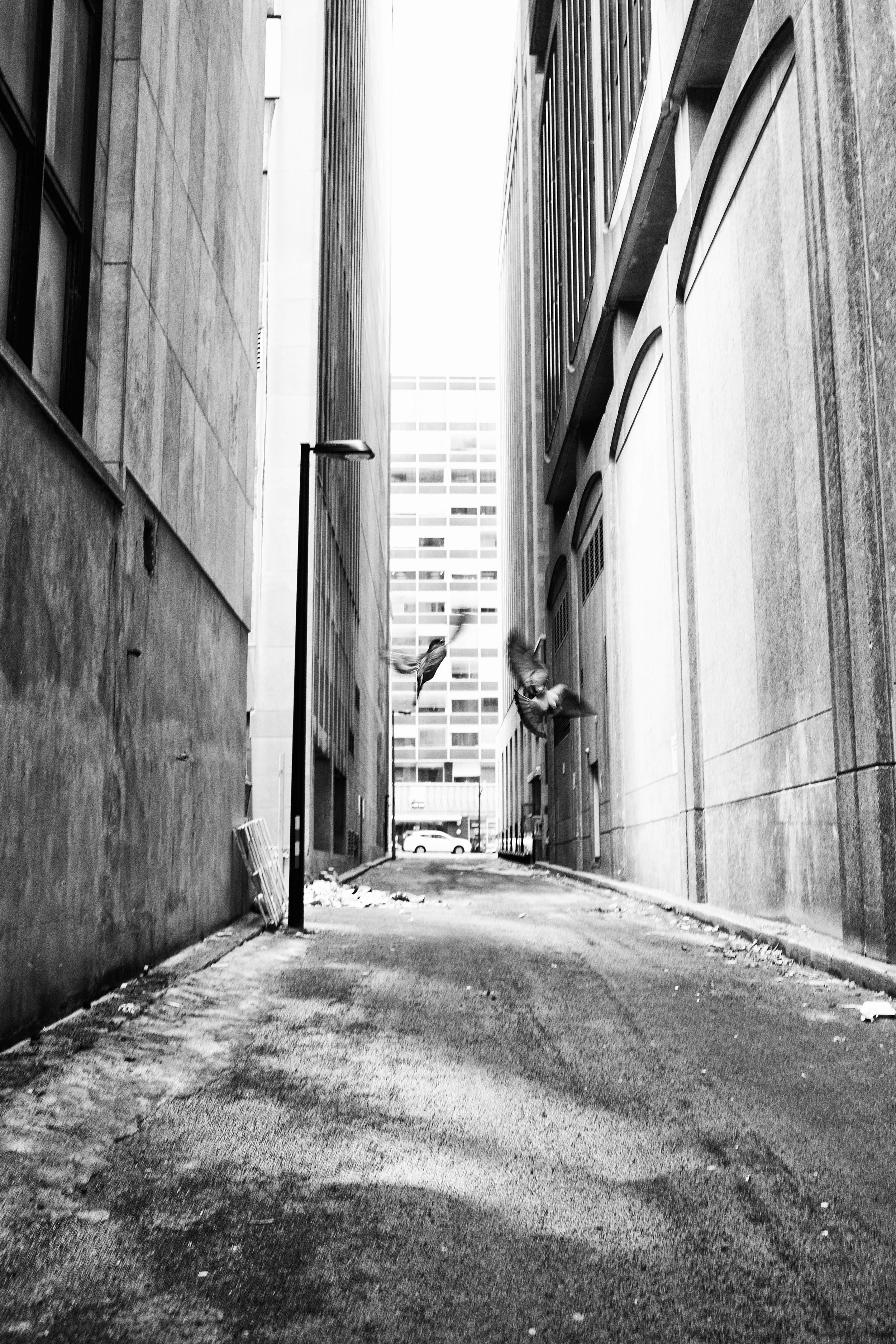 _DSF9374-Edit.jpg