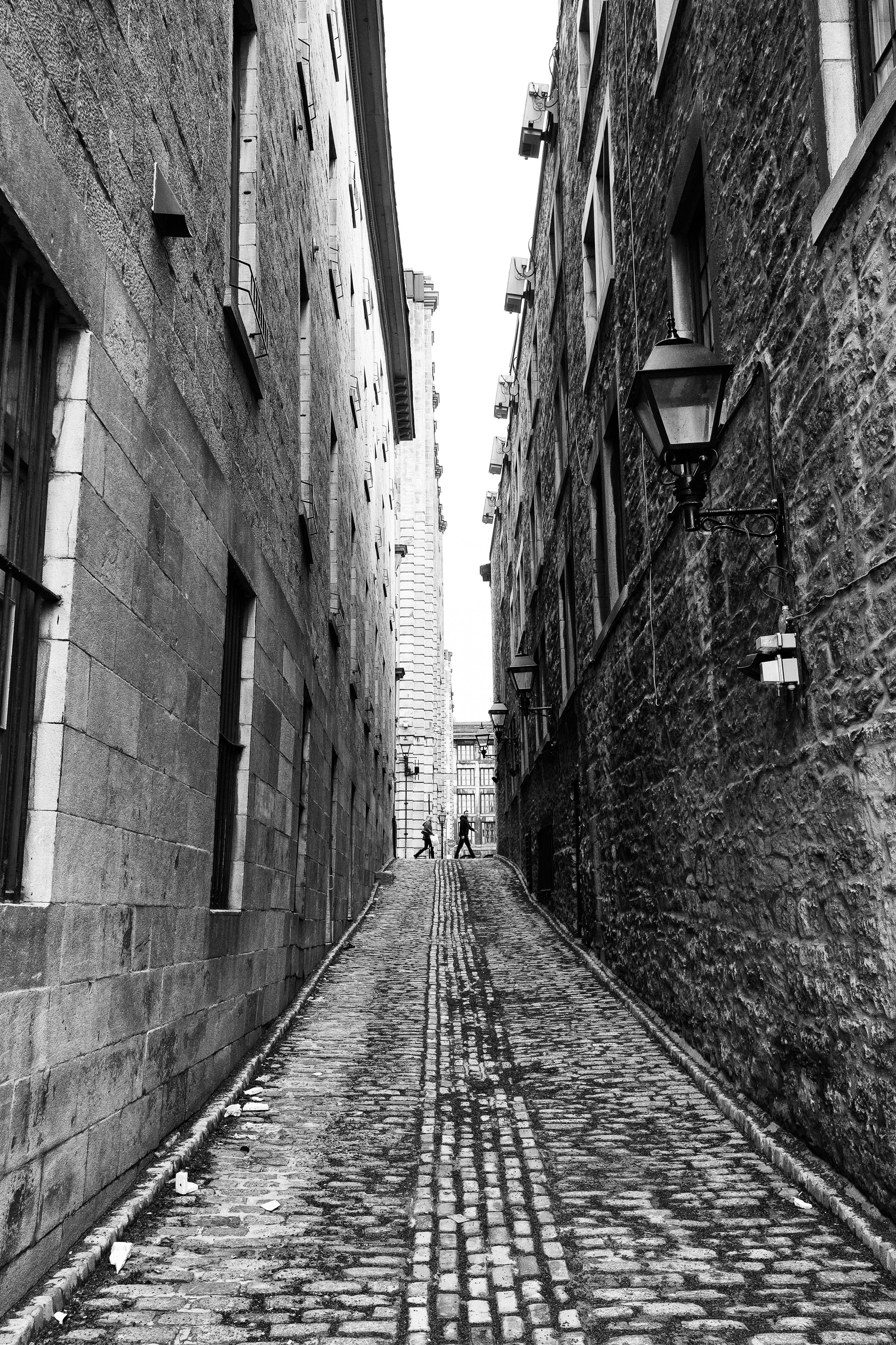 _DSF9090-Edit.jpg