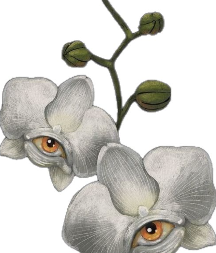 Screenshot 2026-04-29 at 1.50.12 PM.png