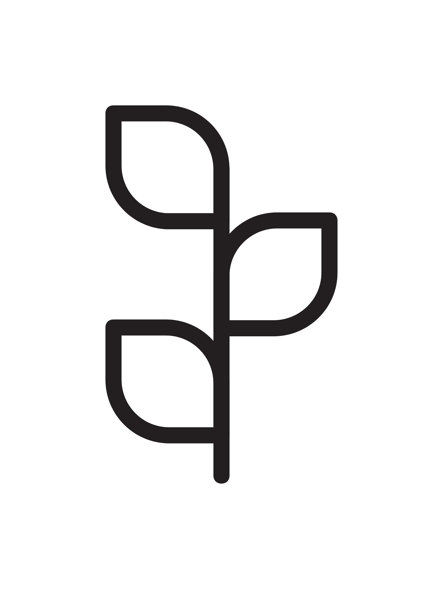 logo (3).png