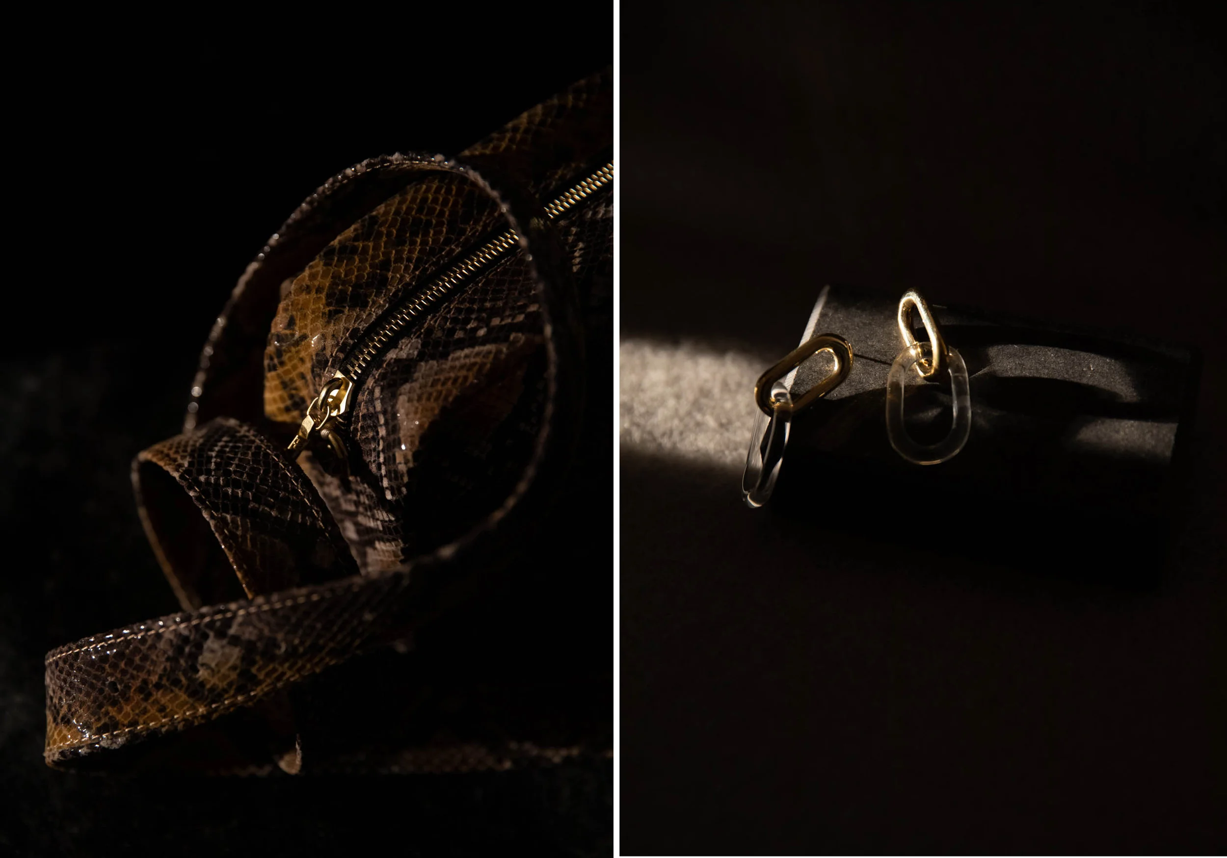 OPELLE POUR SOUVENIR / Viper Belt Bag - JANE D’ARENSBOURG Earrings