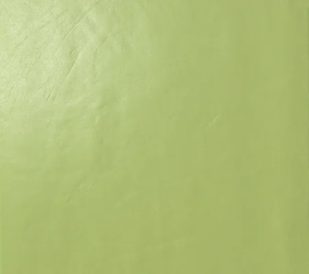acid_green_gloss_450x400.jpg