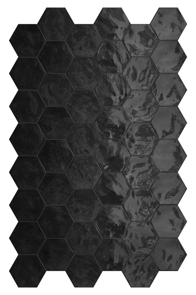 HEXA WALL_Black Swan.jpg
