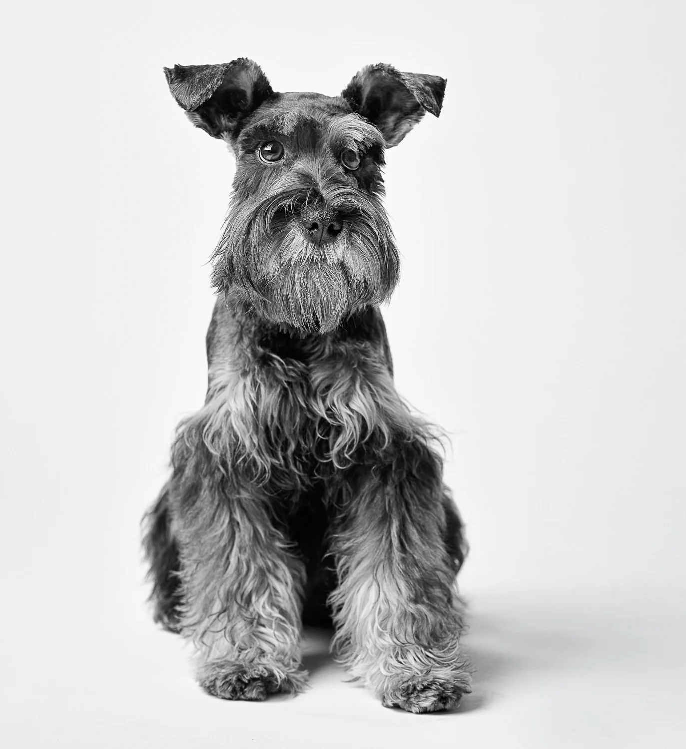 peter ohara photography portraits monochrome b&w black and white palm beach florida