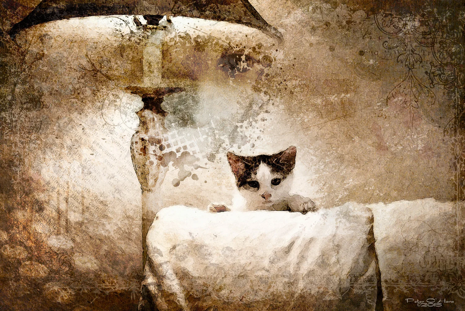 peter ohara photography creative portraits digital art palm beach florida