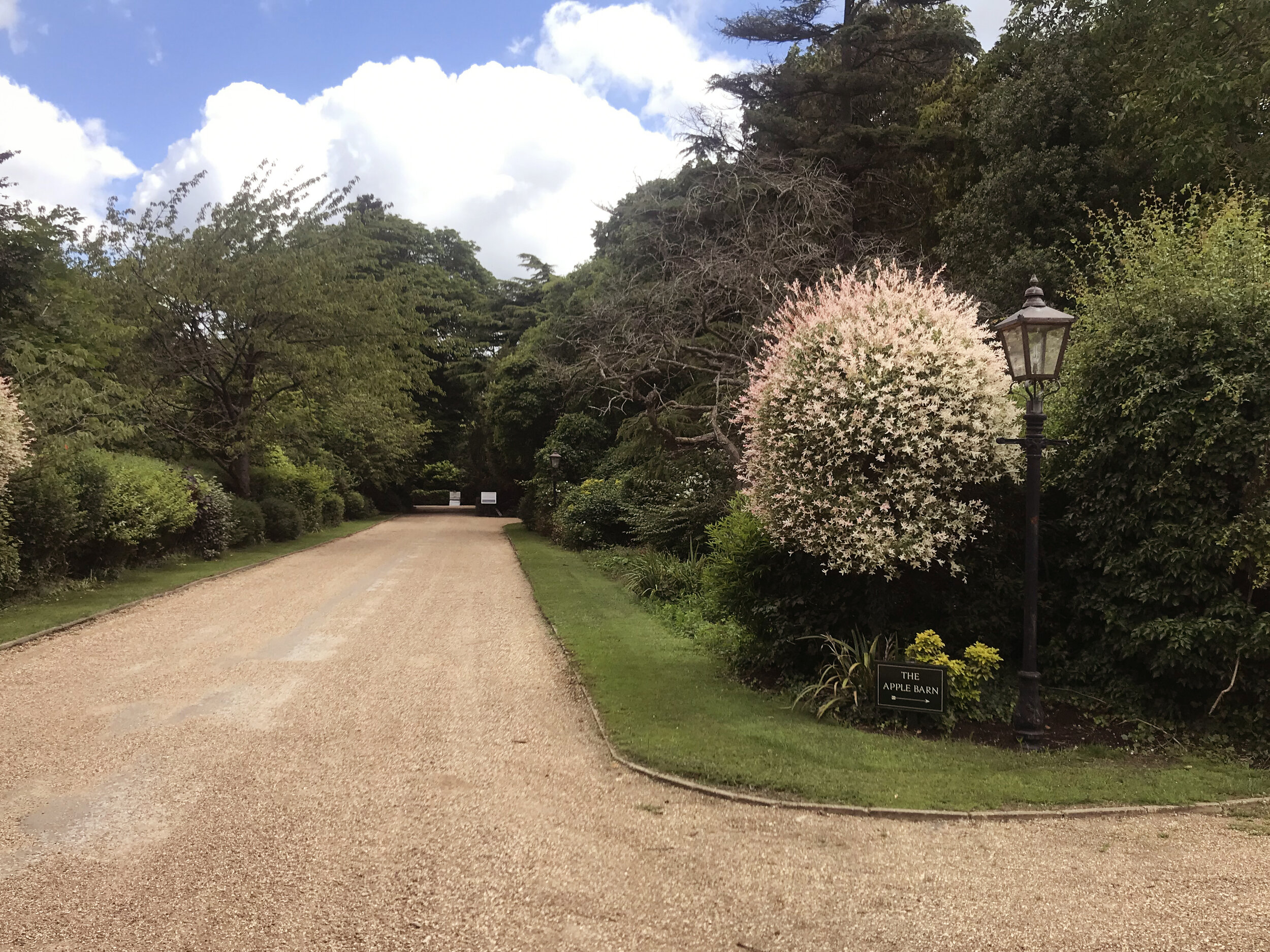 Long driveway with Apple barn sign