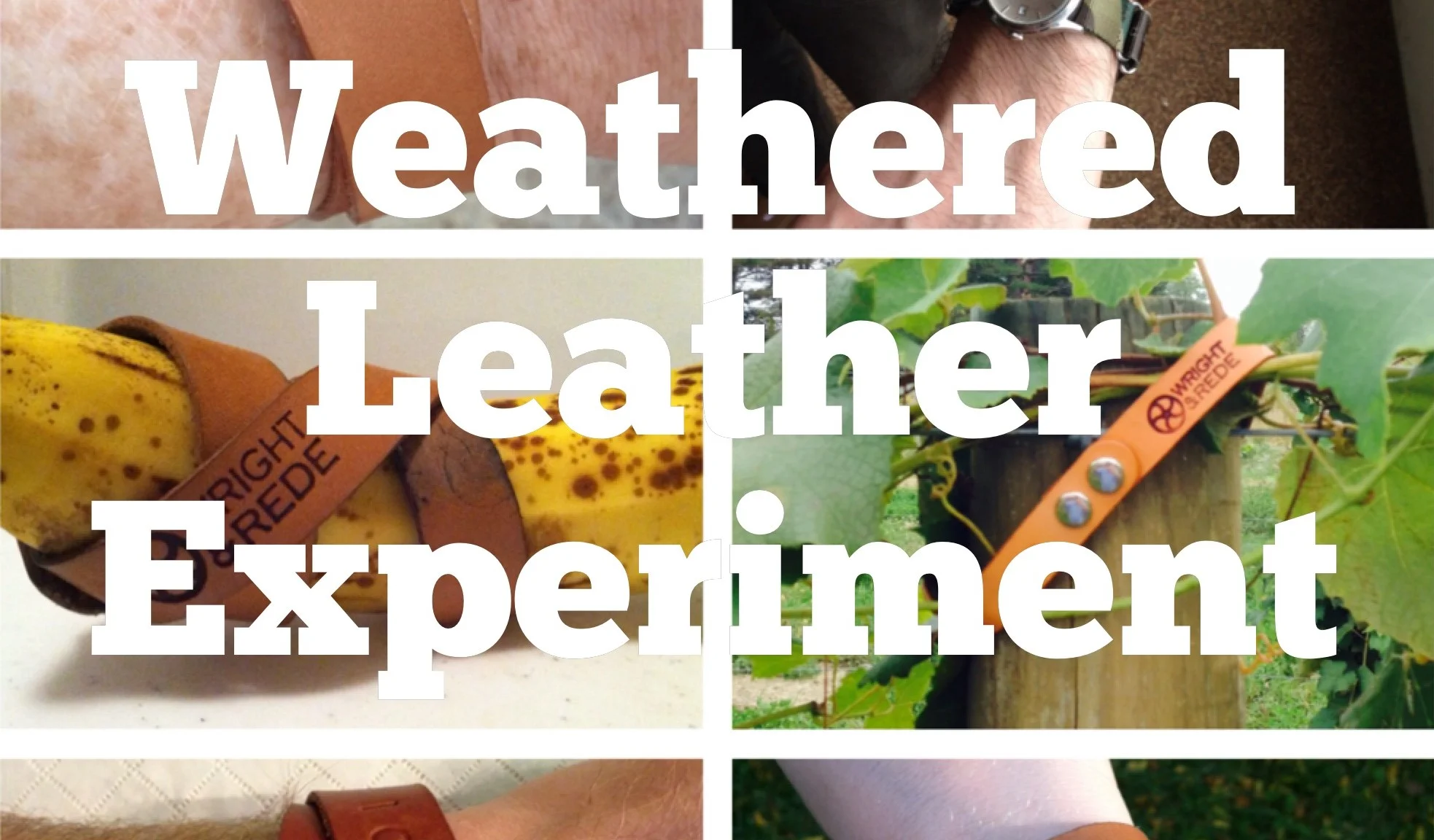 The Weathered Leather Update for September. 