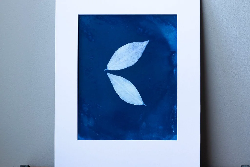 8x10 Original Cyanotype