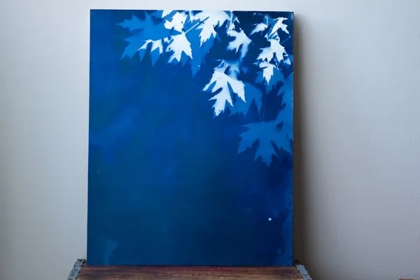 16 x 20 Original Cyanotype