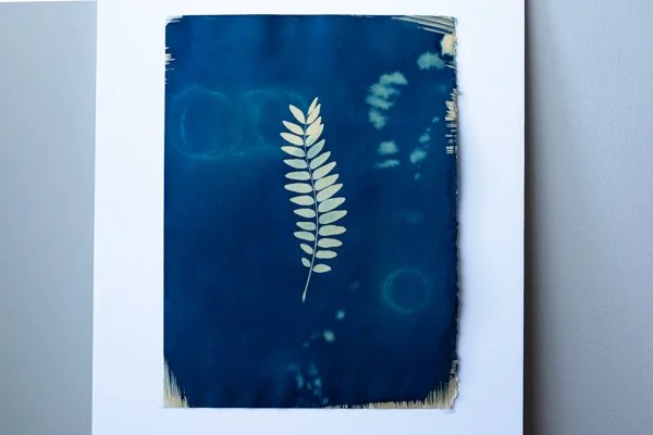 11x14 Original Cyanotype