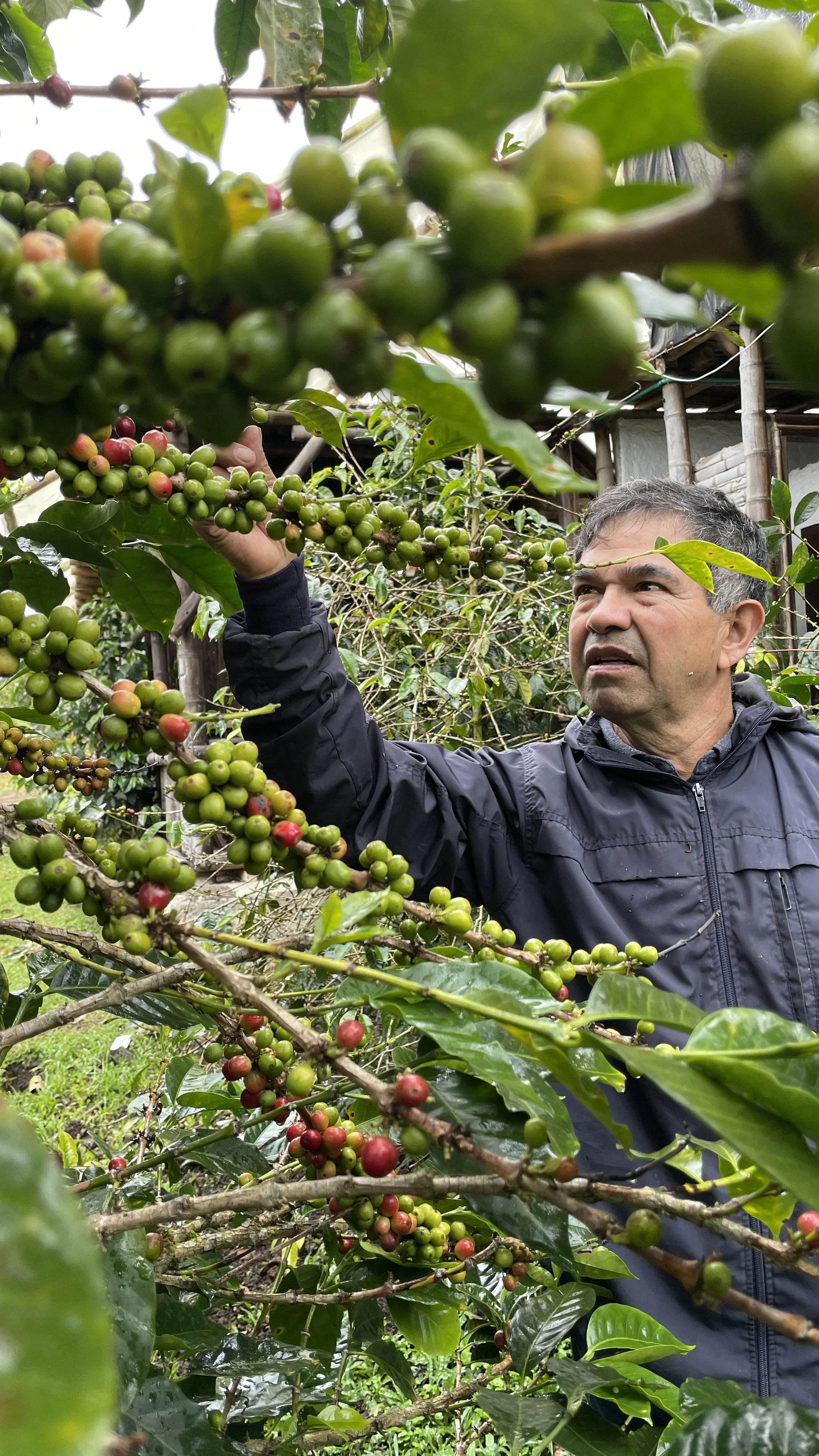 colombia finca la cabana 3.jpg
