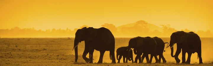 Kenya Dharmayatra 2016