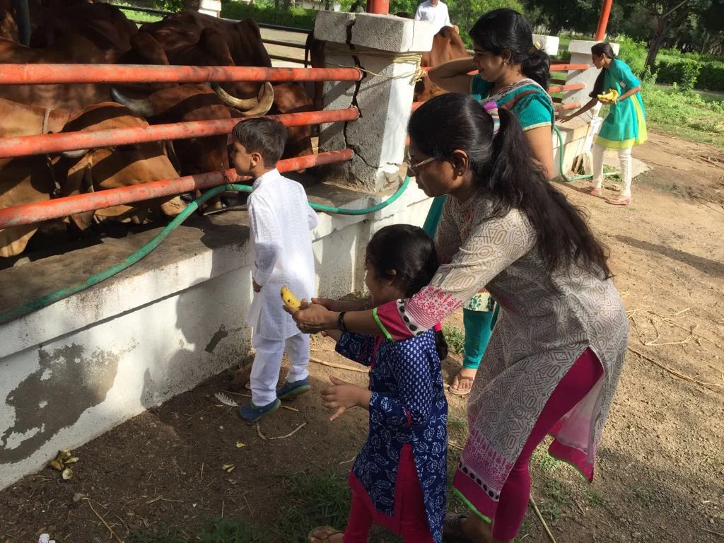 Animal Care - Experiences & Reflections of children
