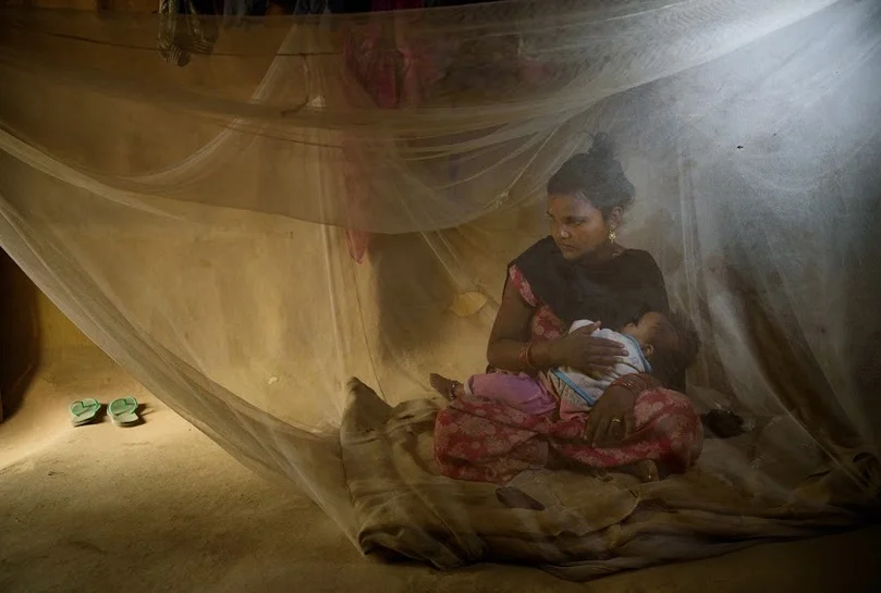 Mosquito net.jpg