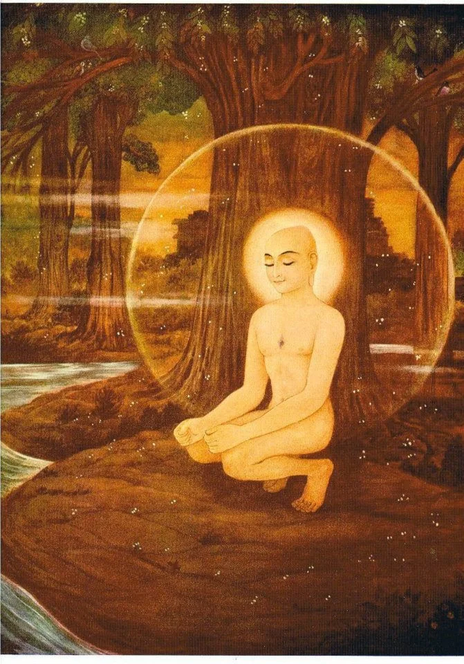 mahavir 20.jpg