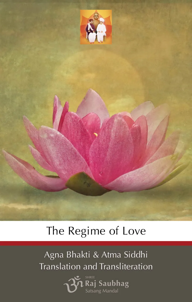 Regime of Love - ebook front cover.jpg
