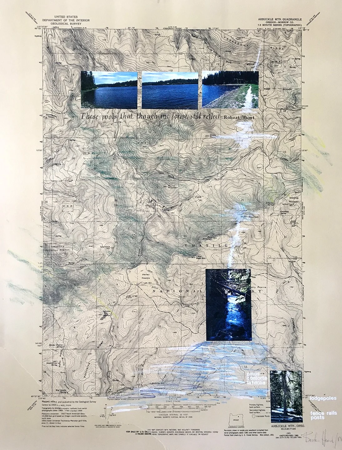 The FARM - Water / mixed media / 22" x 30" 
